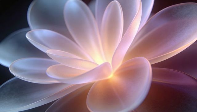 Glowing translucent flower with frosted petals and warm core light — abstract 3d render