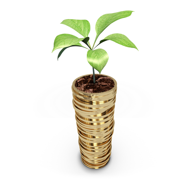 Golden Coins with Plant on Transparent Background Illustrating Finance and Growth - Download Free Stock Videos Pikwizard.com