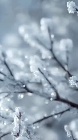 Vertical slow glide over frosted twigs with sparkling ice droplets, winter macro b-roll
