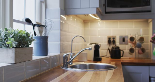 Modern Kitchen Interior with Potted Plant on Countertop - Download Free Stock Images Pikwizard.com