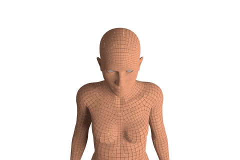 digital illustration of human wireframe on transparent background - Download Free Stock Videos Pikwizard.com