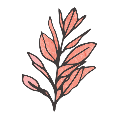 transparent vector illustration of pink twig with leaves - Download Free Stock Videos Pikwizard.com