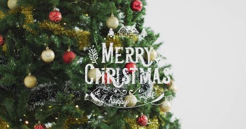 Festive Merry Christmas and New Year Greeting on Decorated Tree Background - Download Free Stock Images Pikwizard.com
