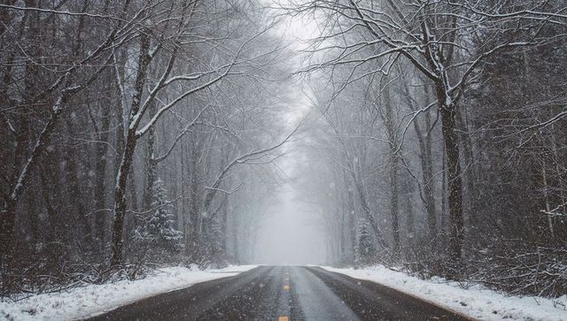 Stretching two-lane road vanishing into fog through snowy forest tunnel