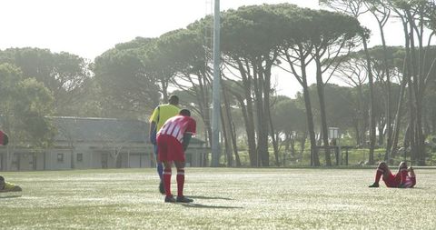 Soccer players demonstrating teamwork on sunny field