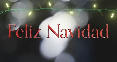 Festive Feliz Navidad with Glowing Fairy Lights