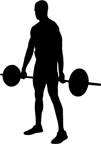 Transparent silhouette lifting weight bar