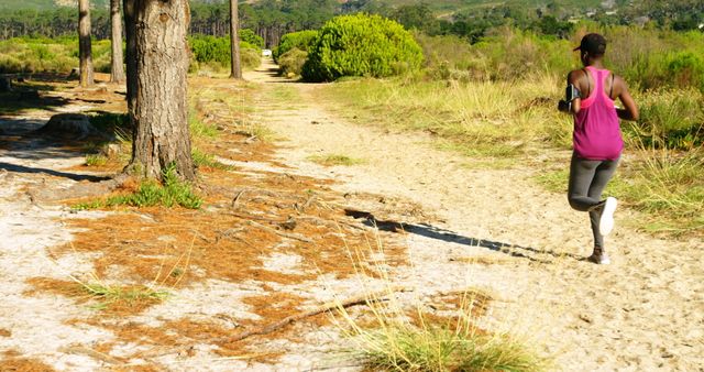 Woman Jogging on Forest Trail in Sunny Weather - Download Free Stock Images Pikwizard.com