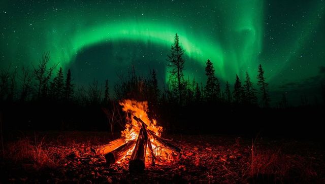 Glowing Campfire Under Dancing Aurora Borealis Over Pine Forest Night Sky