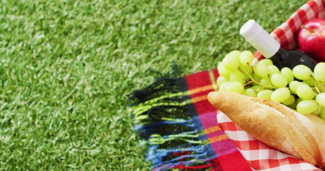 Image of fresh bread, grapes and wine on blanket and gingham tablecloth with copy space on grass - Download Free Stock Photos Pikwizard.com