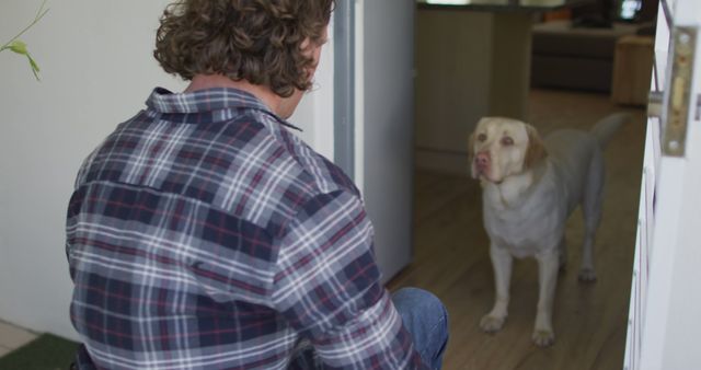 Man Greeting Labrador Retriever at Doorway of Home - Download Free Stock Images Pikwizard.com