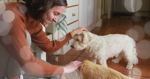 Crouching woman petting two small dogs on terracotta kitchen floor with warm bokeh