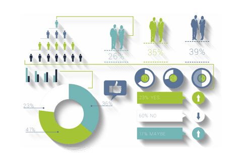 colorful infographic displays business statistics on transparent background - Download Free Stock Videos Pikwizard.com