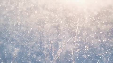 Slow Motion Sunlit Snowfall Over Frosted Grasses - Gentle Winter Flurry with Bokeh Glow