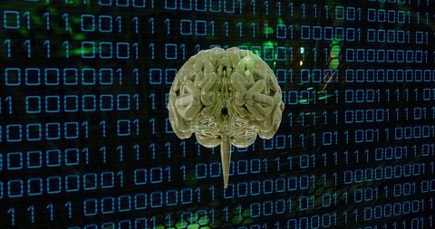 Digital Brain Overlay with Binary Code Background - Download Free Stock Images Pikwizard.com