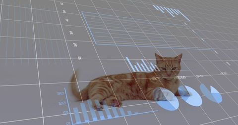 Cute orange tabby cat with digital financial graph overlays