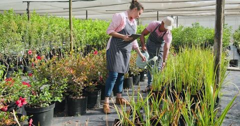 Workers Watering Plants in Nursery Using Tablet and Watering Can