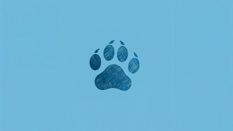 Stylized blue paw print icon on light blue background