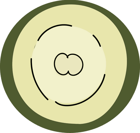 abstract geometric art with concentric rings on transparent background - Download Free Stock Videos Pikwizard.com