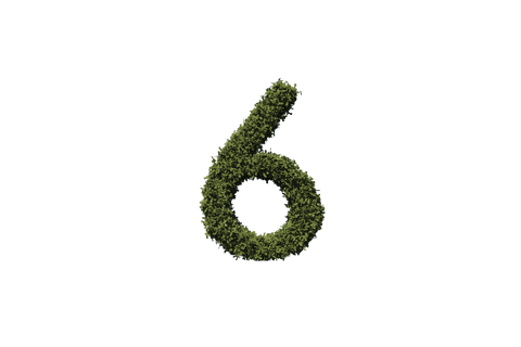 green grass textured digit 6 on transparent background - Download Free Stock Videos Pikwizard.com
