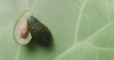 Halved avocado on large green leaf represents fresh organic produce