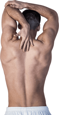 transparent view of shirtless man highlighting muscular back pain - Download Free Stock Videos Pikwizard.com