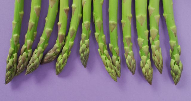 This image shows fresh asparagus spears arranged on a purple background. Perfect for use in health and nutrition blogs, recipes, restaurant menus, organic food advertisements, and cooking tutorials. The vibrant green against the purple background highlights the freshness of the vegetables.