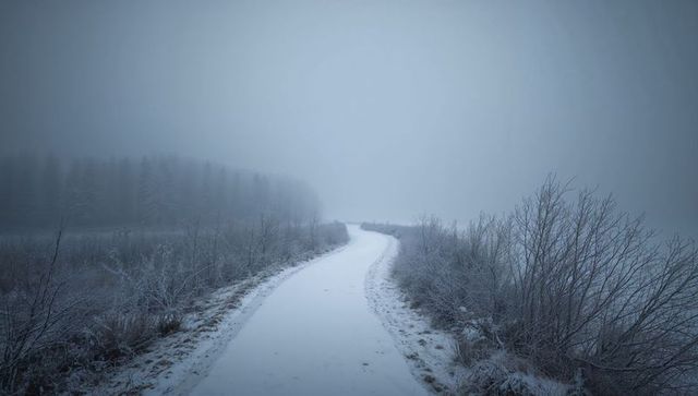 Winding snow-covered trail vanishing into foggy winter forest with frosted shrubs