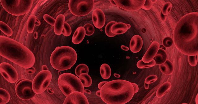 Close-up of digital generated red blood cells flowing through the arteries - Download Free Stock Photos Pikwizard.com