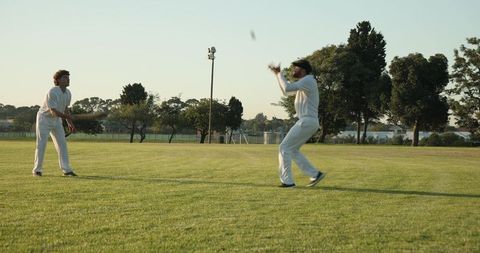 Sunlit amateur cricketers playing catch and batting on green sports field at golden hour
