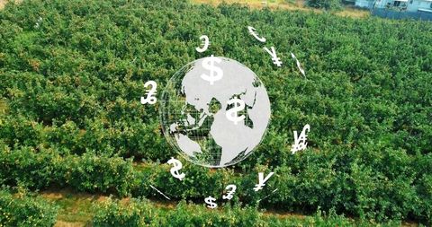 Wireframe globe hovering over orchard with floating currency symbols for global farm finance