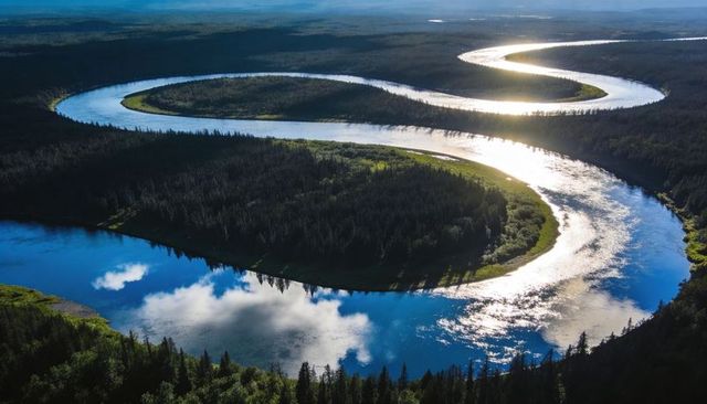 Sunlit river meandering through forested floodplain with winding s-shaped river bends