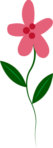 Pink flat flower with green leaves on transparent background