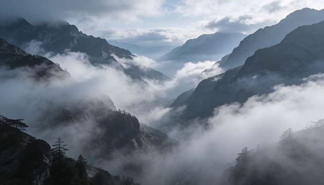 Misty alpine valley with fog flowing through rocky peaks and pine forests