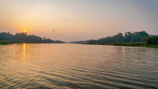 Sunset reflecting on calm river with ripples, flying birds and tree-lined horizon glow