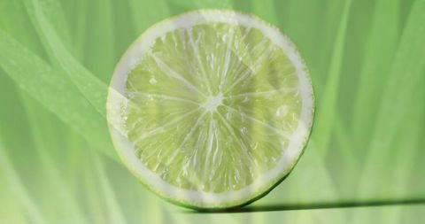 Halved lime against fresh grass background