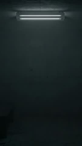 Flickering Fluorescent Light Revealing Concrete Bench and Stained Floor in Cellar Vertical Video