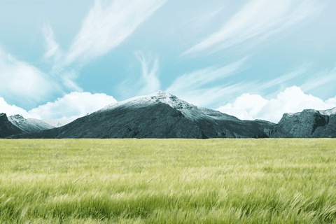 transparent mountain range and meadow vector landscape - Download Free Stock Videos Pikwizard.com