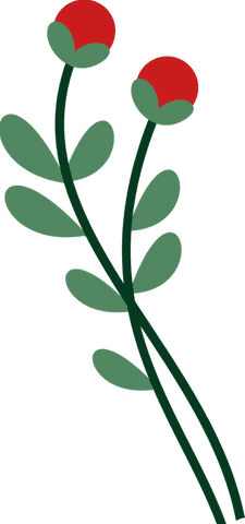 Two Stylized Red Buds on Green Stems Transparent Illustration