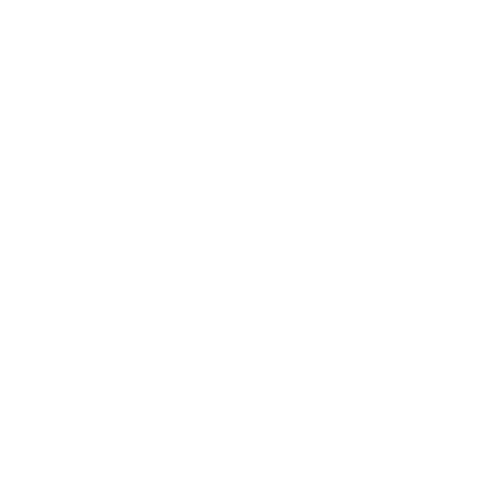 White Rosette Floral Design on Transparent Background - Download Free Stock Videos Pikwizard.com