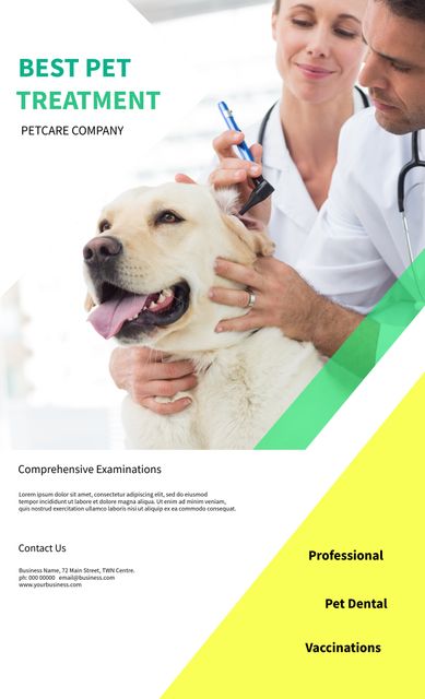 Veterinary Team Examining Happy Dog in Clinic for Comprehensive Care - Download Free Stock Templates Pikwizard.com