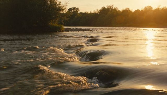 Golden river cascades at sunset flowing stream with smooth ripples and sun reflection