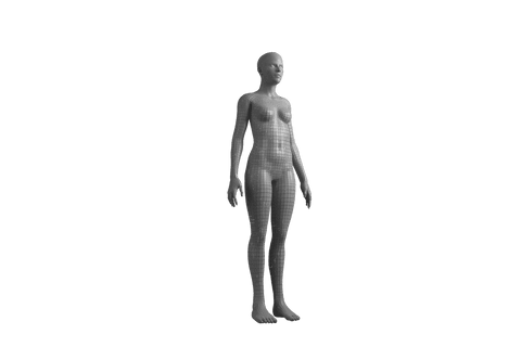 transparent female digital wireframe 3d model mesh - Download Free Stock Videos Pikwizard.com