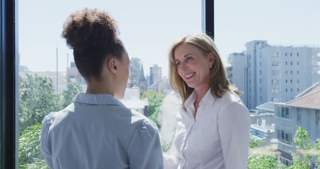 Professional Women Engaging in Business Conversation by Office Window - Download Free Stock Images Pikwizard.com