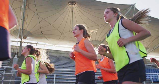 Young Female Team Preparing for Field Hockey Game in Sunlit Arena - Download Free Stock Images Pikwizard.com