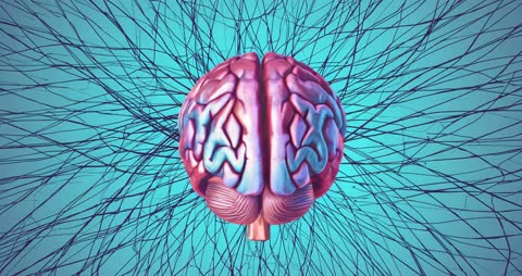 Rotating 3D Brain Network Illustrating Cognitive Connectivity