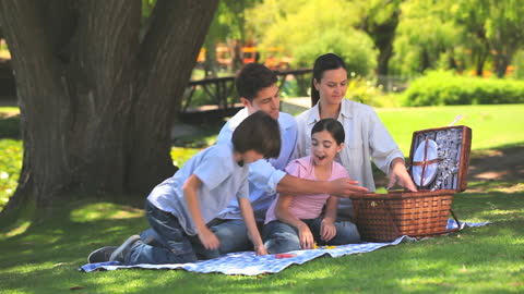 Family Enjoying Picnic in Sunny Park Greeting Natural Day