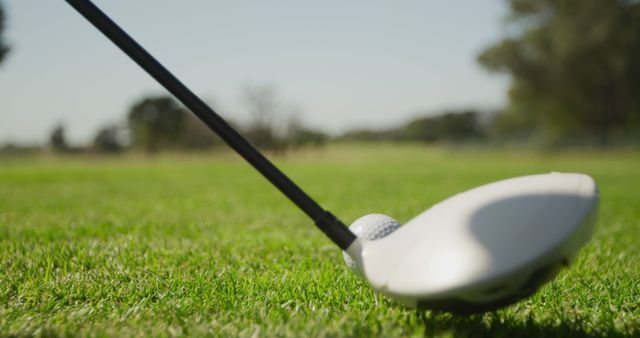 Close up of golf ball and club at sunny golf course - Download Free Stock Photos Pikwizard.com