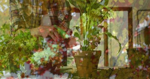Woman Transplanting Houseplant into Terracotta Pot Indoors