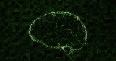 Digital visualization of brain and mathematics